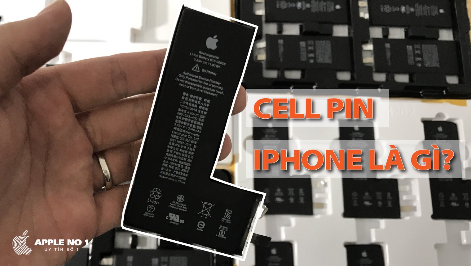 Cell pin iPhone la gi? Co nen thay Cell pin iPhone khong?